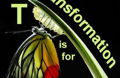2017! Transformation