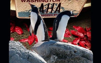 Emotional Truth vs. EMOTING