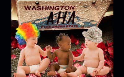 What’s Your Point… of view