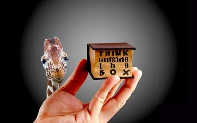 What Happens When Your Giraffe Escapes?