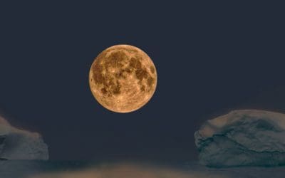 The Sounds Of Silence