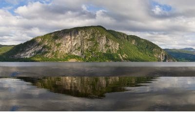 Clarity and Contradiction